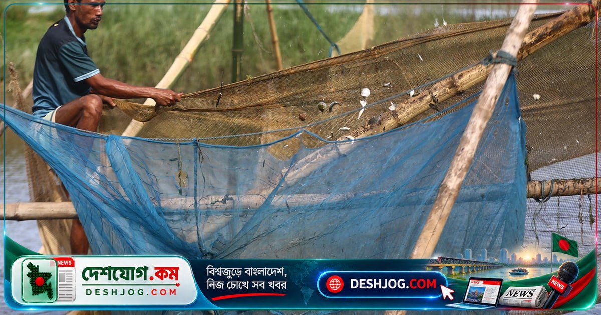 সিলেটের হাওর-বিলে মাছ ধরা: পরিবারগুলোর জীবিকা ও জীবনের একমাত্র ভরসা