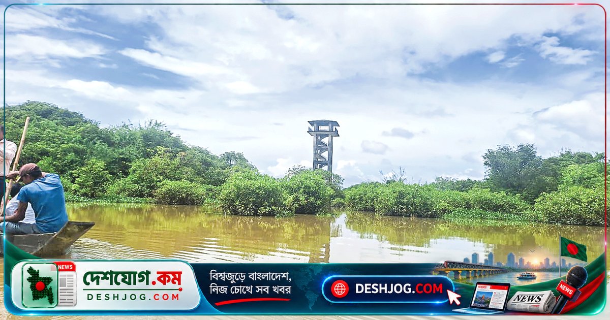সিলেটের রাতারগুল জলাবন: প্রকৃতির অপূর্ব জলকবিতা যা বর্ষায় আরো রোমাঞ্চকর হয়