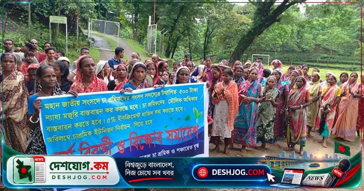 সিলেটের চা-বাগানে দুই ঘণ্টা কর্মবিরতি: দৈনিক ৫০০ টাকা মজুরির দাবিতে শ্রমিকদের আন্দোলন
