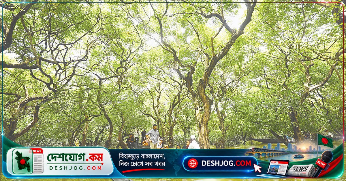 সিলেট ভ্রমণে পর্যটকদের হয়রানি ও ব্যবস্থাপনার ব্যর্থতা: প্রকৃতির সৌন্দর্য হারিয়ে যাচ্ছে অনিয়মে