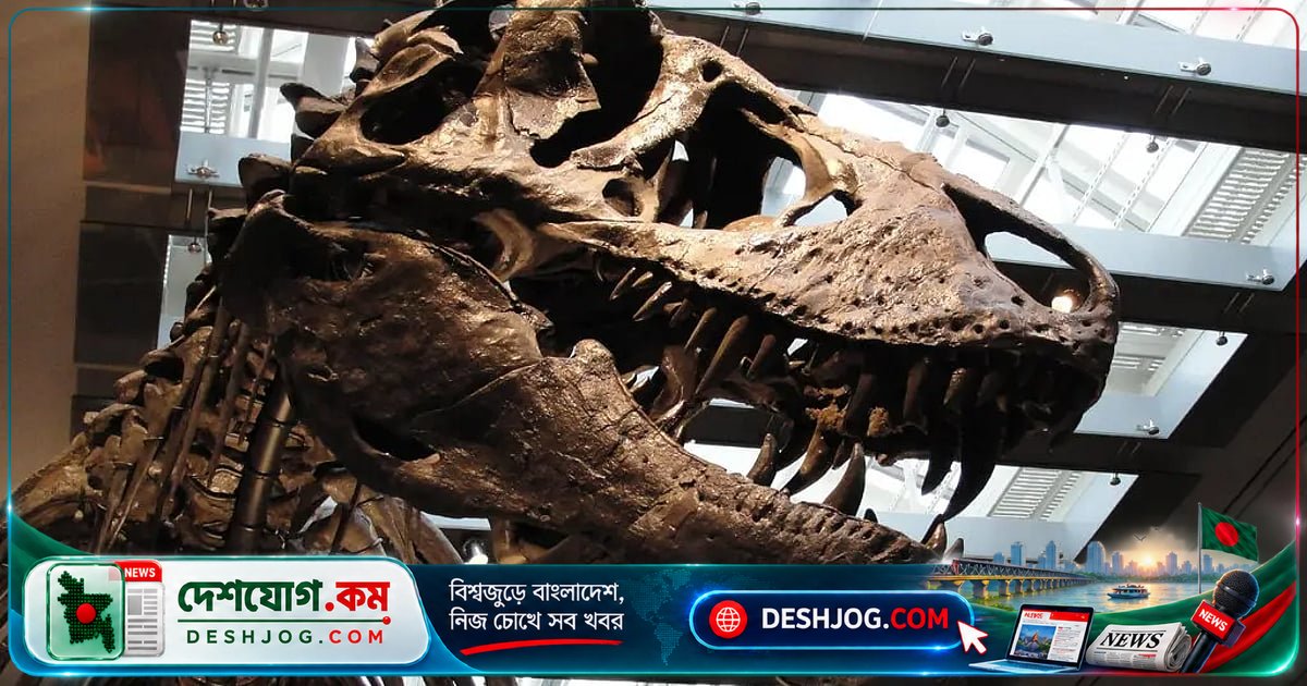 ৬ কোটি ৬০ লাখ বছর আগের টি-রেক্সের শরীরে ছিল ৩৬ ডিগ্রি তাপমাত্রা: বিজ্ঞানীরা কীভাবে জানলেন?