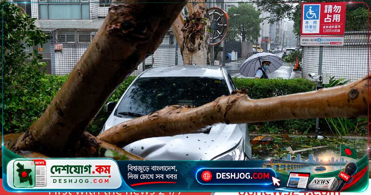 টাইফুন চাম্পি তাইওয়ানে ভয়াবহ ধ্বংসসাধন: ১ নিহত, ৫০০+ আহত, ২ লাখেরও বেশি বাড়ি বিদ্যুৎবিহীন