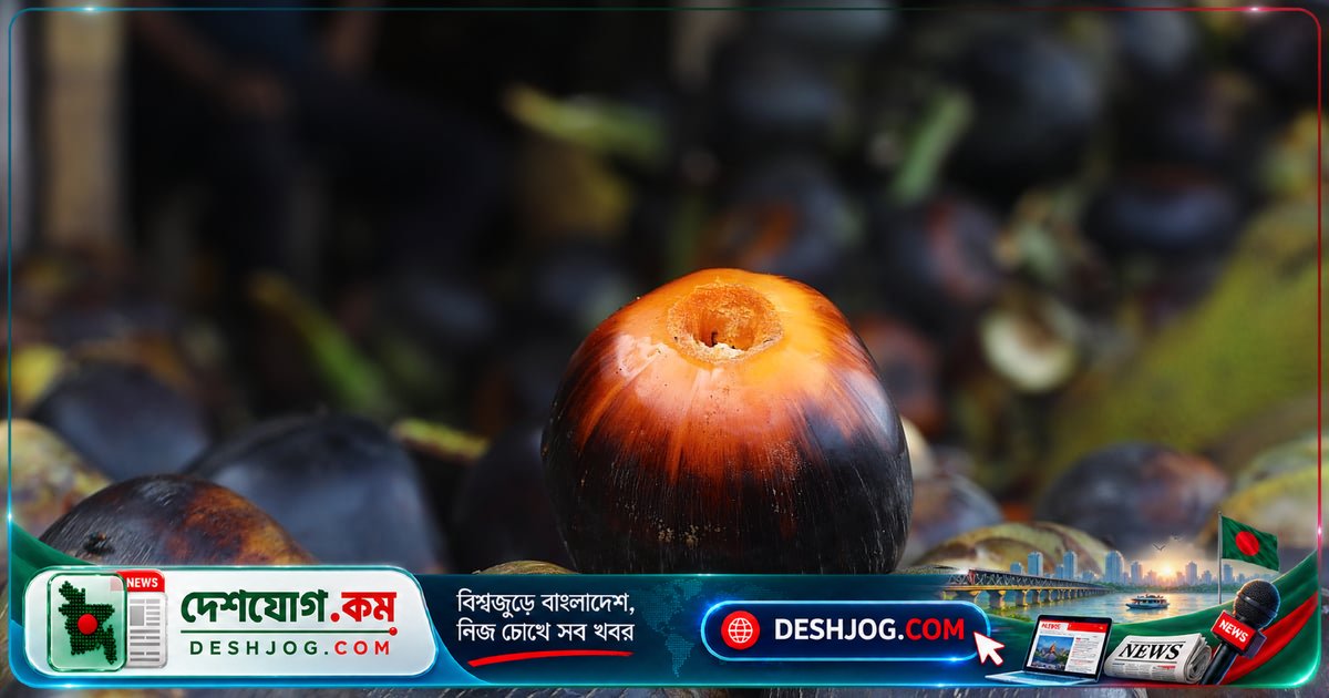 তাল: শরতের স্বাদ ও ঐতিহ্যের বহুমুখী উপহার যা খাদ্য থেকে শুরু করে সংস্কৃতিতে গভীর প্রভাব ফেলে