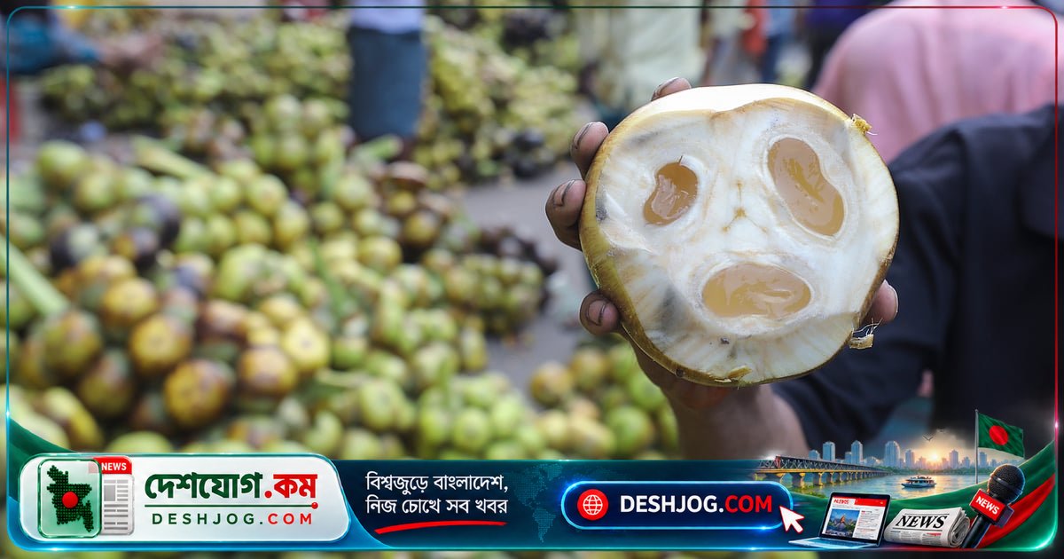 তালশাঁসের জেলি: প্রকৃতির গোপন খাদ্যভান্ডার যা তালগাছের ভবিষ্যৎকে জন্ম দেয়