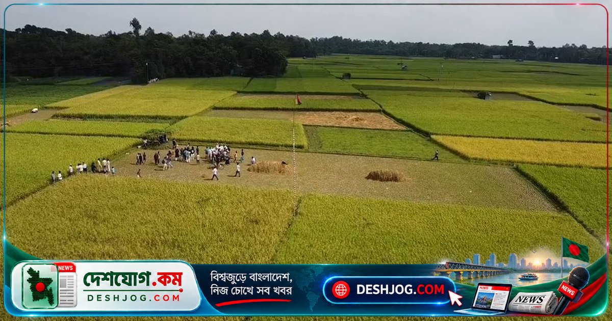 টাঙ্গাইল দেলদুয়ারের বাবুপুর গ্রামে স্বপ্নের খেলার মাঠের জমি কেনা গ্রামবাসীদের সম্মিলিত প্রচেষ্টায়