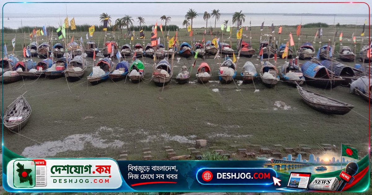 ভোলার তজুমদ্দিনে ইলিশের প্রজনন নিশ্চিত করতে ২২ দিনের মাছ ধরার নিষেধাজ্ঞা জারি, জেলেদের দাবি খাদ্য সহায়তা ও কর্মসংস্থান