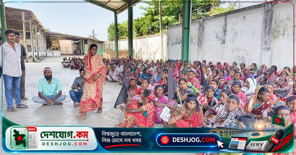 মিরতিংগা চা-বাগানে পূজা বোনাস ও বকেয়া মজুরি দাবিতে শ্রমিকদের আন্দোলন, মালিকপক্ষের ৩০% বোনাস ঘোষণা