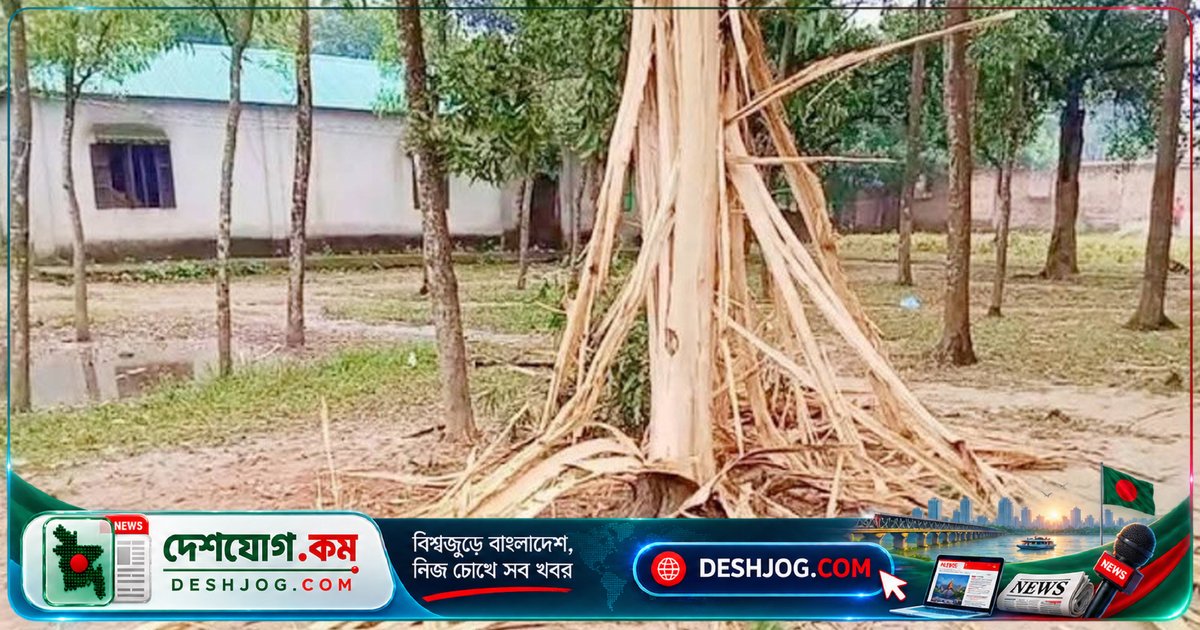 গাজীপুরে বজ্রপাতের শব্দে ১৮ ছাত্রী অসুস্থ, এক গাছ পুড়ে চৌচির হয়ে যায়