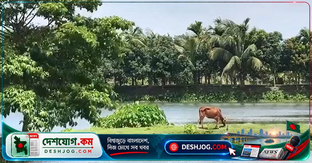 টিপুনগরের মাছ বিক্রি নিয়ে আদালত নিয়োজিত রিসিভারের বিরুদ্ধে অভিযোগ