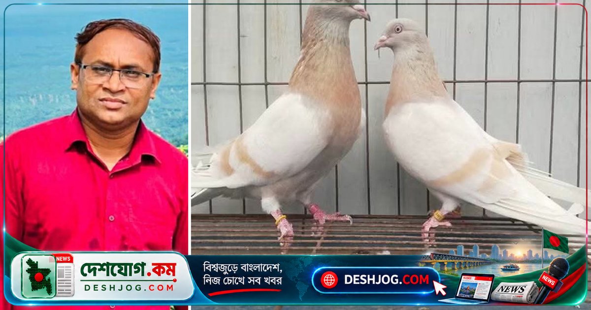 তিতুমীর কলেজের শিক্ষক শখের কবুতর বিক্রি করে ৭০ হাজার টাকা সংগ্রহ করলেন শিক্ষার্থীর চিকিৎসার জন্য