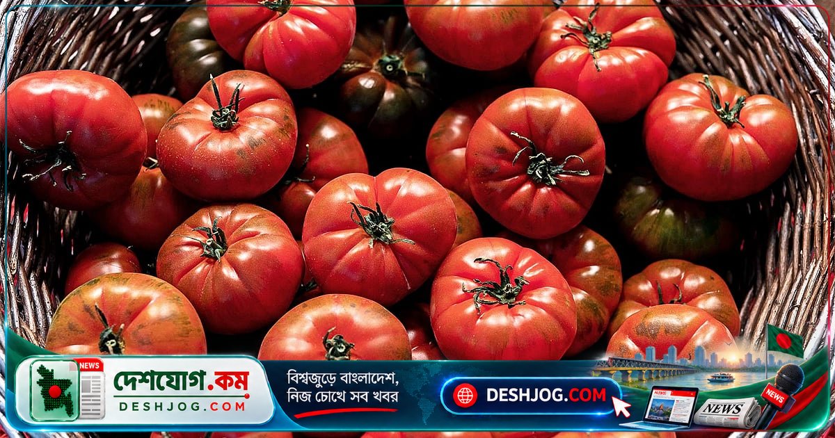 যকৃতের চর্বি কমাতে টমেটোর প্রাকৃতিক উপাদান ফাইটোইনের ভূমিকা পেলেন বিজ্ঞানীরা