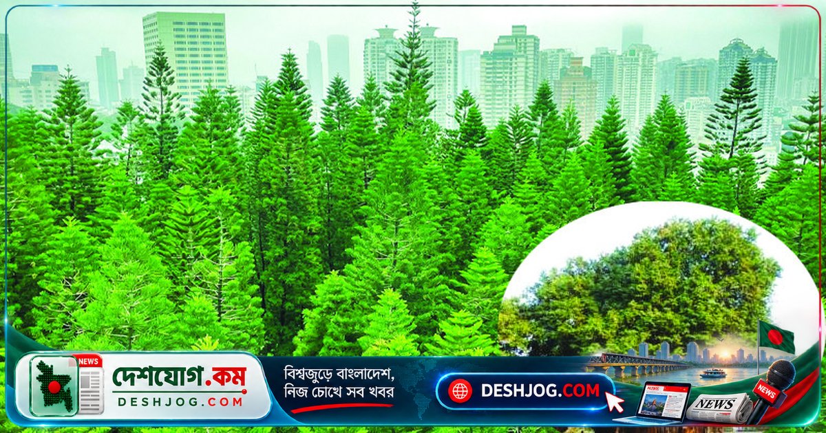 বাংলাদেশে অক্সিজেন উৎপাদনে অগ্রণী ৫টি গাছ: পিপল থেকে জাম পর্যন্ত