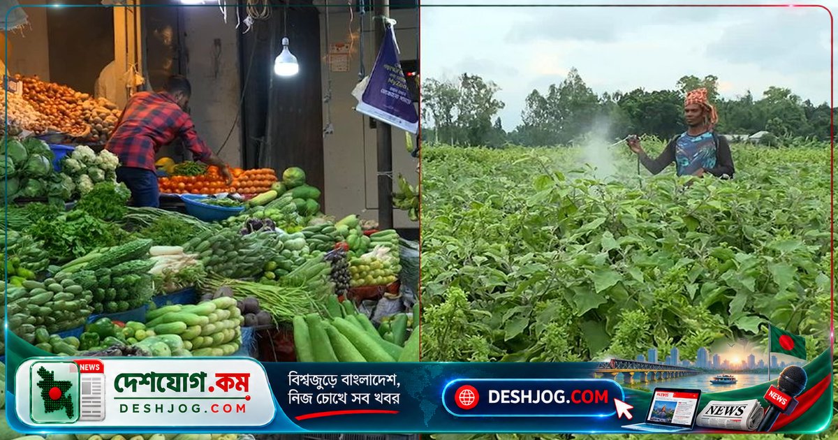 কীটনাশক ও ভারী ধাতুতে ভরপুর সবজি: খাবারের প্লেটে কতটা নিরাপদ আমাদের ফসল?