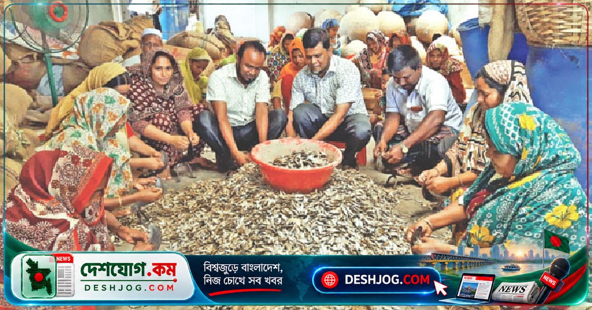 বাংলাদেশের ঐতিহ্যবাহী শিদল: কীভাবে তৈরি হয় এই স্বাদপূর্ণ খাবার?