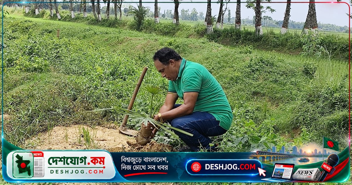 মহাদেবপুরের ‘গাছের বন্ধু আরিফ স্যার’: চার দশকে ৬০ হাজার গাছ লাগিয়ে আলোকিত বাংলাদেশ