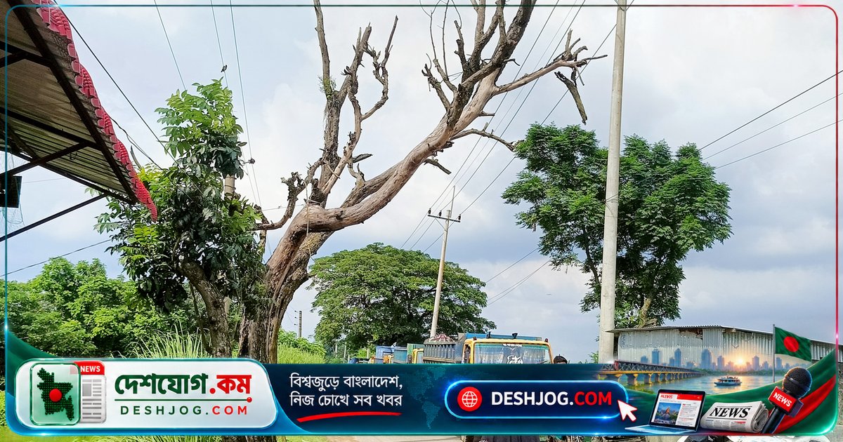 ত্রিশাল-পোড়াবাড়ী সড়কে বিপজ্জনক মরা গাছের স্তূপ, দুর্ঘটনার আশঙ্কায় জনগণ