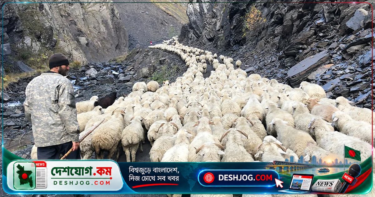 আধুনিকতা ছেড়ে প্রাচীন পনির সংস্কৃতির বৈশ্বিক অনুসন্ধানে ট্রেভর ওয়ারমেডাহল: জলবায়ু পরিবর্তন থেকে সংস্কৃতি রক্ষায় এক যাত্রা