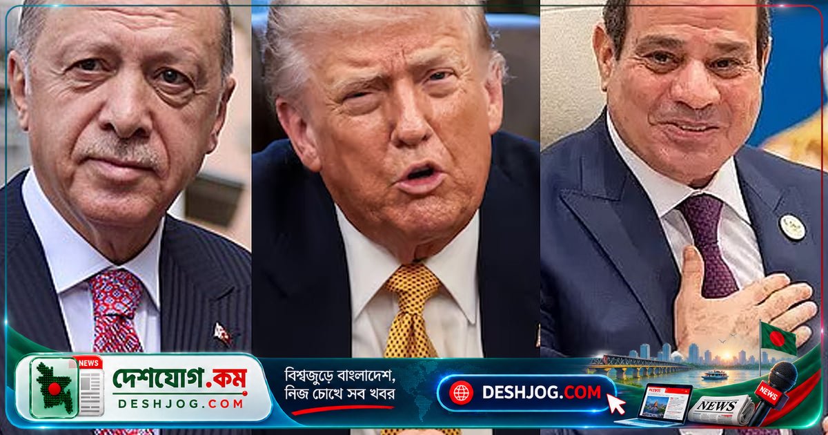 মিসরের অবকাঠামো ছাড়া পূর্ব ভূমধ্যসাগরের গ্যাস রপ্তানি সম্ভব নয়: তুরস্কের নতুন হিসাবনিকাশ