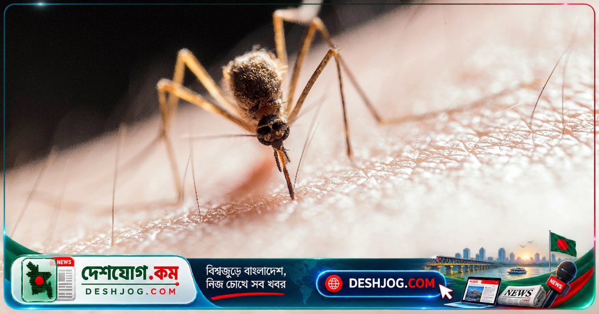 জার্মানির ফ্রাঙ্কফুর্ট বিমানবন্দরে ম্যালেরিয়া সংক্রমণে দুই কর্মীর মৃত্যু