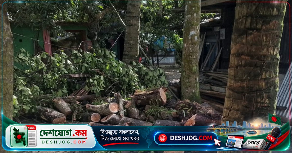 বরিশালের উজিরপুরে আদালতের নিষেধাজ্ঞা লঙ্ঘন করে সরকারি জমিতে নির্মিত বসতঘর: স্থানীয়দের প্রশ্নের জন্ম