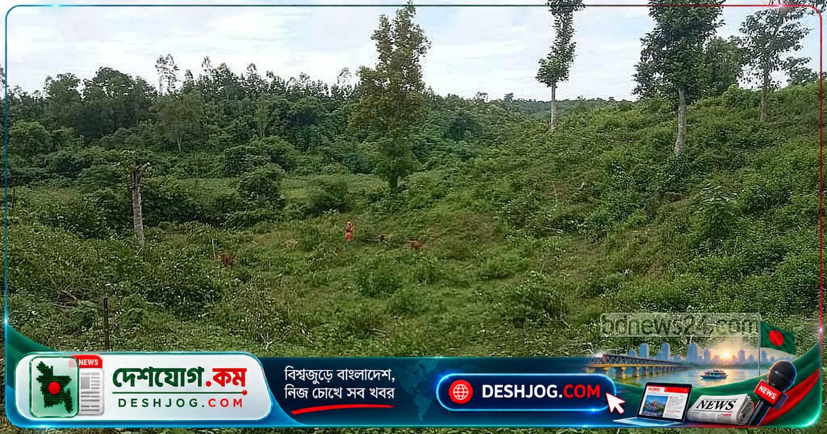 পরিবেশ দূষণ মোকাবেলায় সরকার, ব্যবসা ও সাধারণ মানুষের যৌথ দায়িত্ব অপরিহার্য