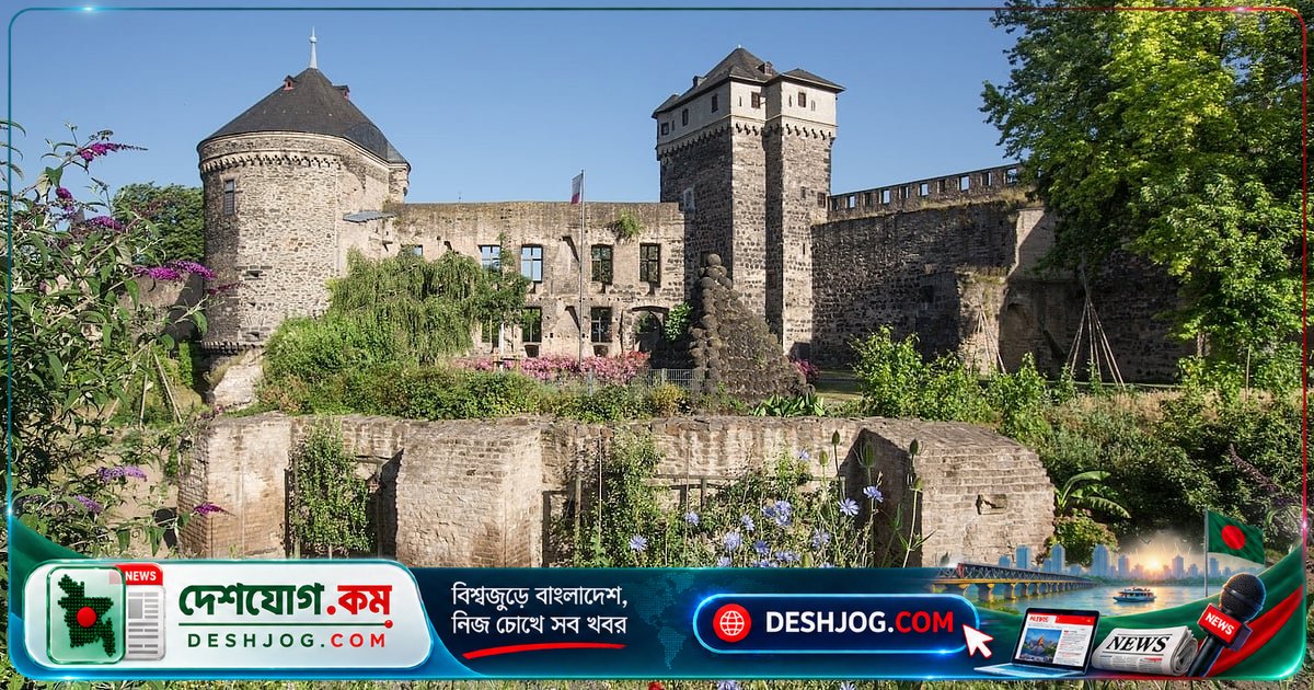 শহরের ফাঁকা জায়গায় বিনা খরচে খাবার উৎপাদন: জার্মানির আন্ডারনাখের উদাহরণ