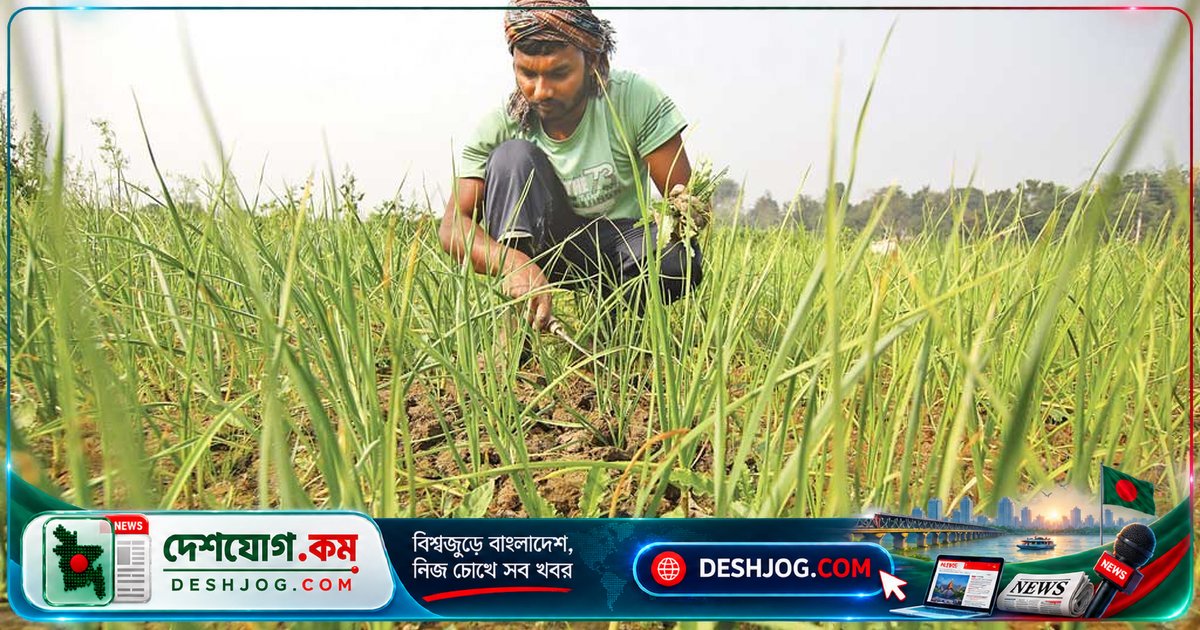 শহরের উন্নতি আর কৃষকের অবহেলা: যে কারণে দেশের উৎপাদন ঝুঁকিতে