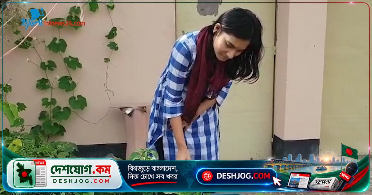 ছোট বাগানে সবুজ জীবন: শহরে পাত্রে চাষ করে পরিবার পুষ্টিকর খাবার ও শান্তি পায়