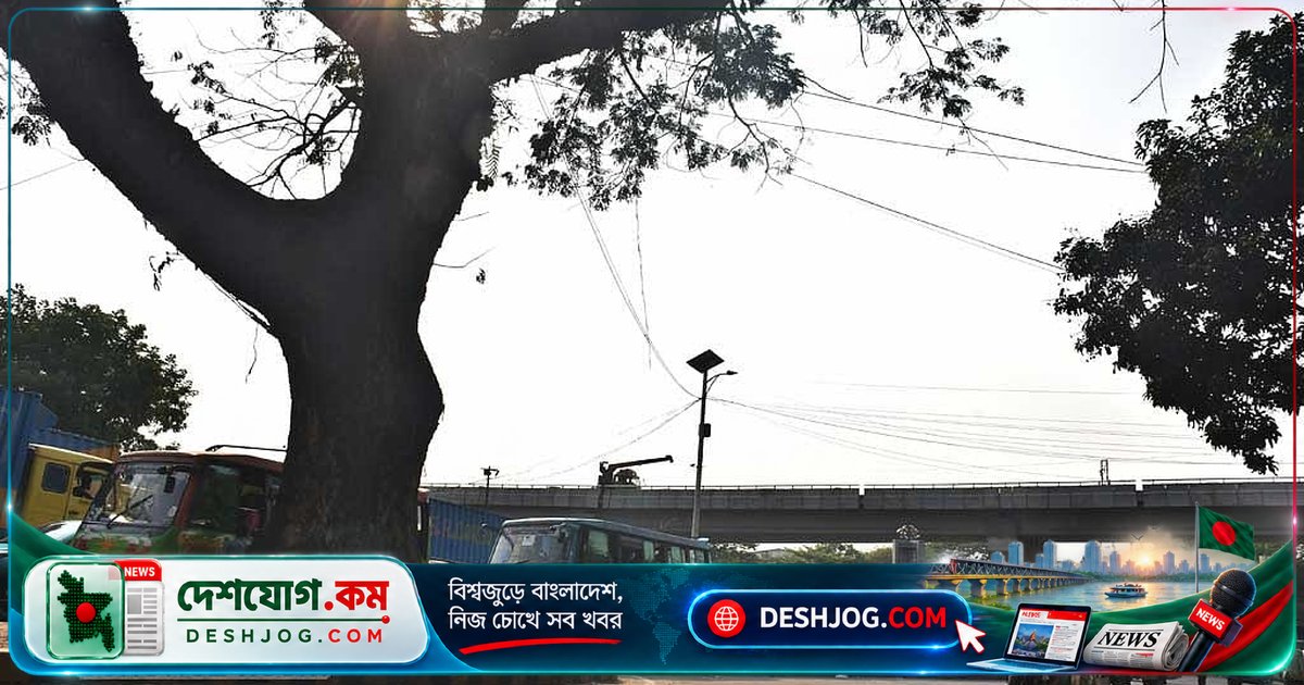 গাছপালা ছাড়া শহর জীবন কীভাবে বিপন্ন করে? ইউনিসেফ ও জাতিসংঘের সতর্কবার্তা