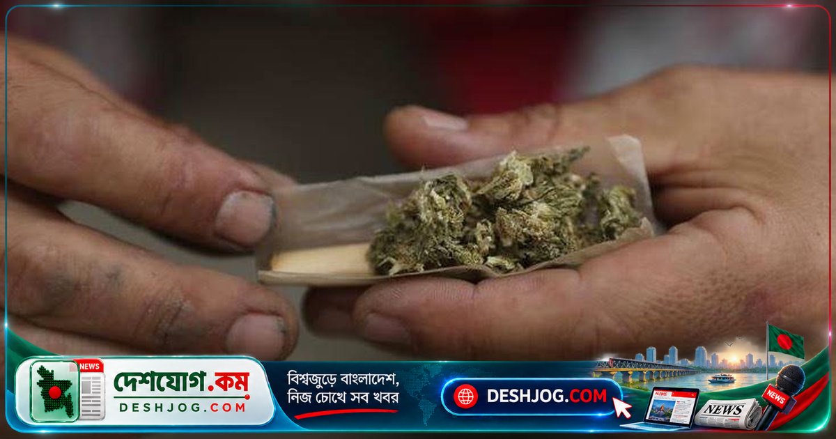 যুক্তরাষ্ট্রে গাঁজা সেবনকারীর সংখ্যা ধূমপানকারীদেরকে পেছনে ফেলেছে: গ্যালপের সতর্ককর জরিপ