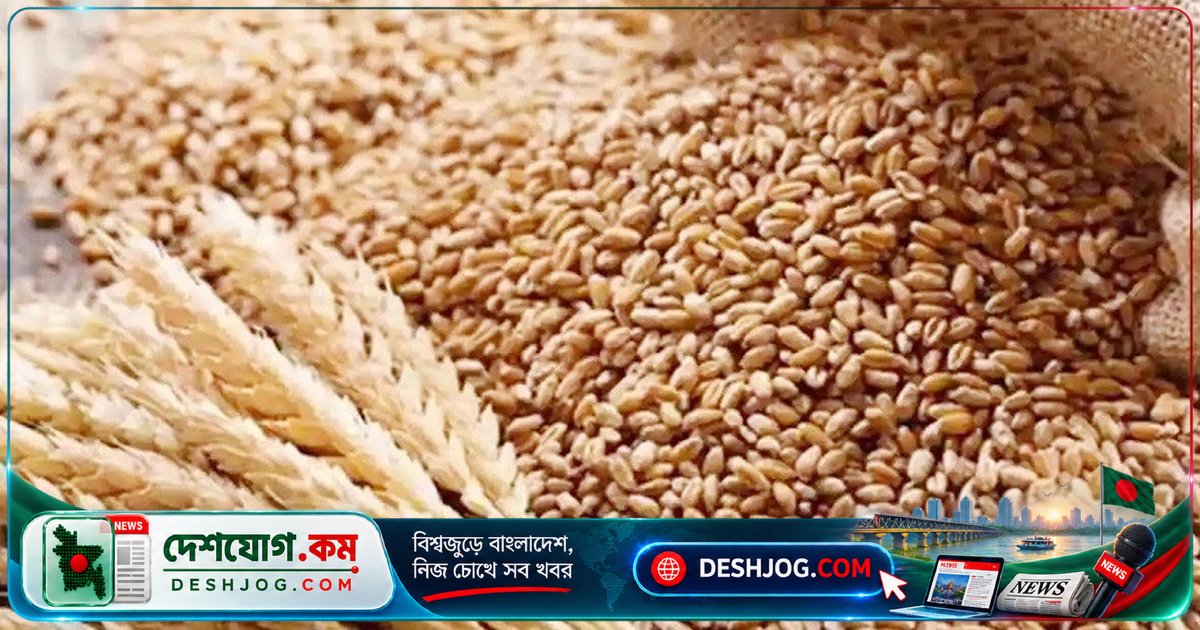 যুক্তরাষ্ট্রের গম আমদানি: চট্টগ্রামে পৌঁছেছে ১ লাখ ৭৫ হাজার টন পুষ্টিগুণসমৃদ্ধ গম