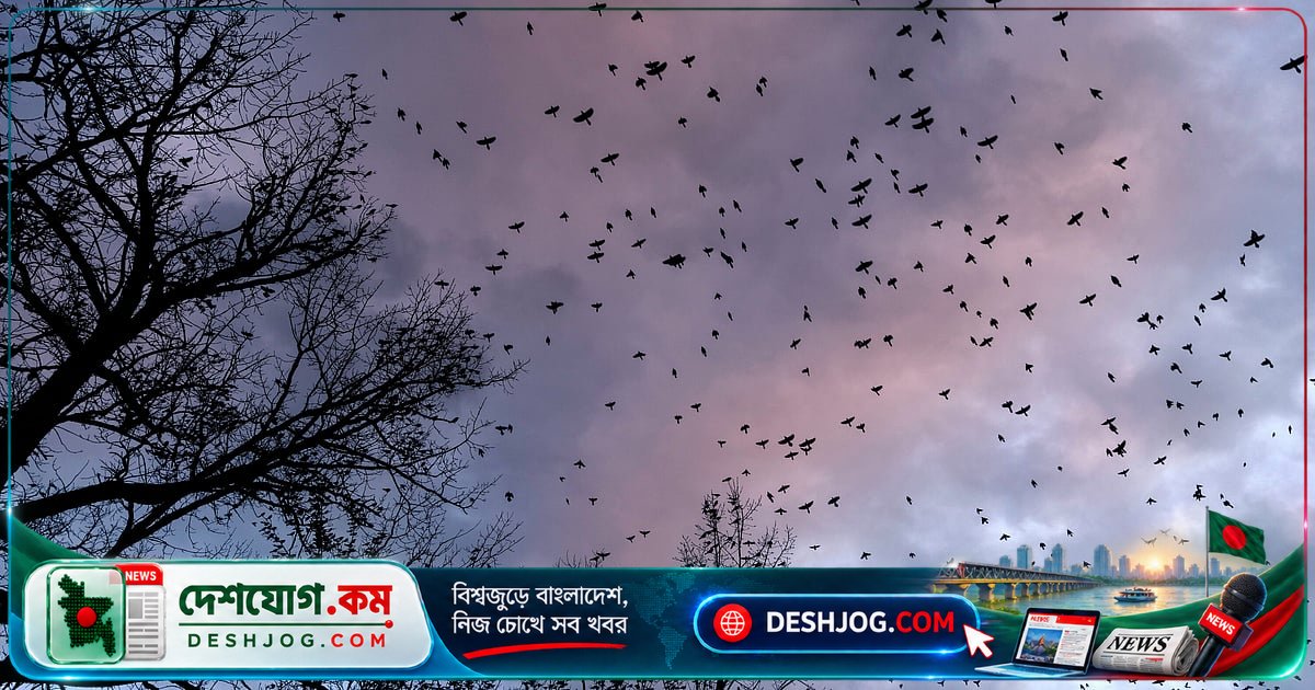 যুক্তরাষ্ট্রে পরিযায়ী পাখির নিরাপদ যাত্রা নিশ্চিত করতে শহরবাসীদের আলো নিভিয়ে রাখার আহ্বান