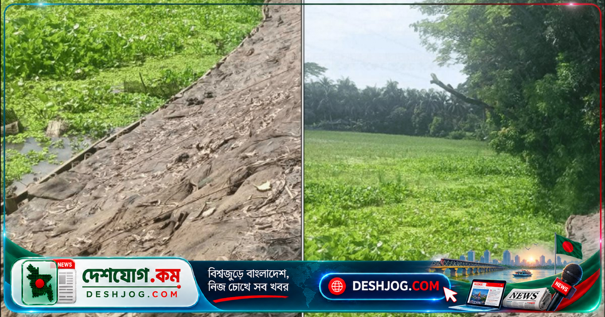 উজিরপুরে সড়ক রক্ষায় জিও ব্যাগের পরিবর্তে পাটের বস্তা ব্যবহারের অভিযোগ