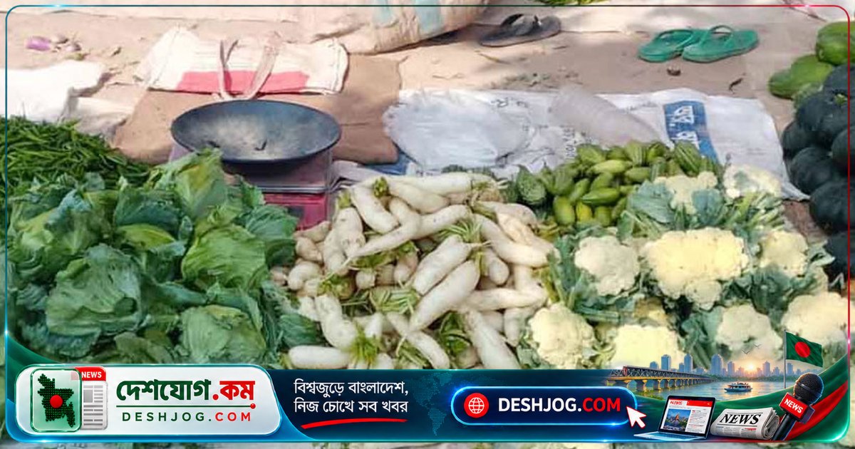 দিনাজপুরের বিরামপুরে শীতকালীন সবজির দাম অর্ধেকে নেমে এসেছে: কৃষক ও ব্যবসায়ীরা বলছেন সরবরাহ বেড়েছে