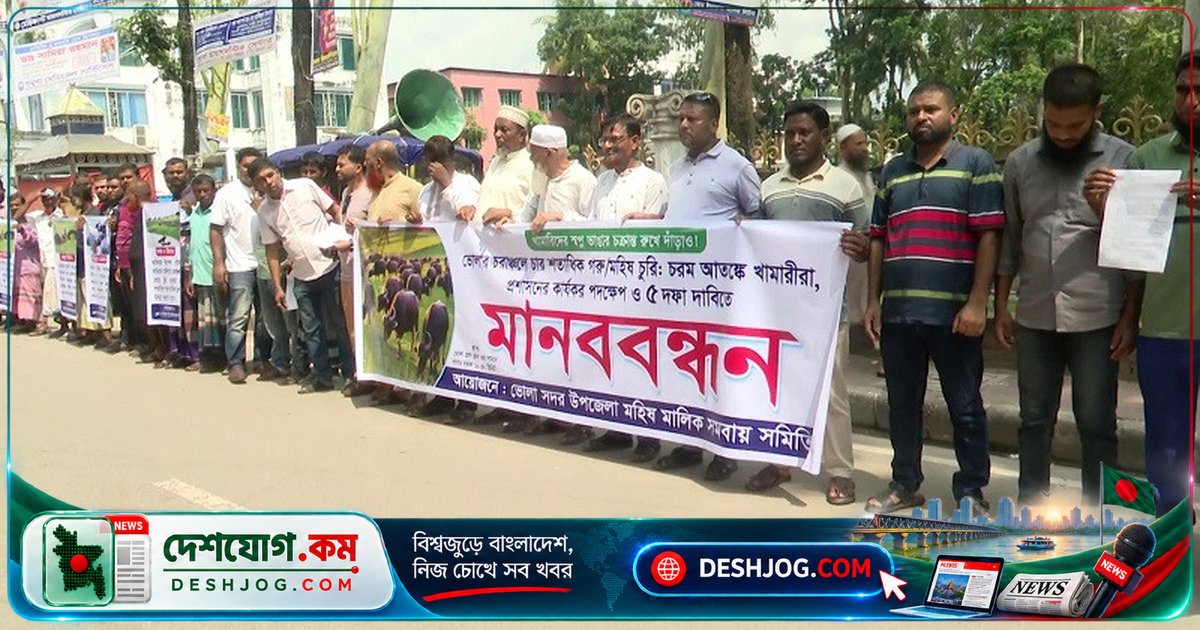 ভোলার চরাঞ্চলে গরু-মহিষ চুরির বিরুদ্ধে মানববন্ধন ও স্মারকলিপি: পশুপালকদের দাবি নিরাপত্তা ও সহায়তা