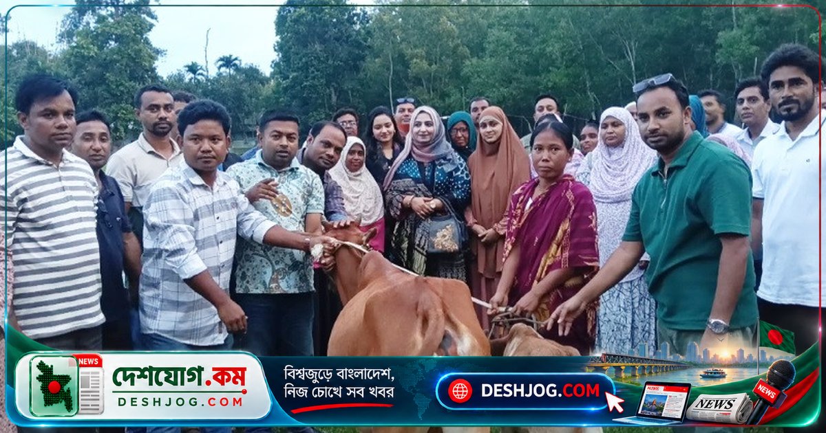 কূপ দুর্ঘটনায় স্বামী হারানোর পর গাভী উপহার পায় শেরপুরের পরিবার