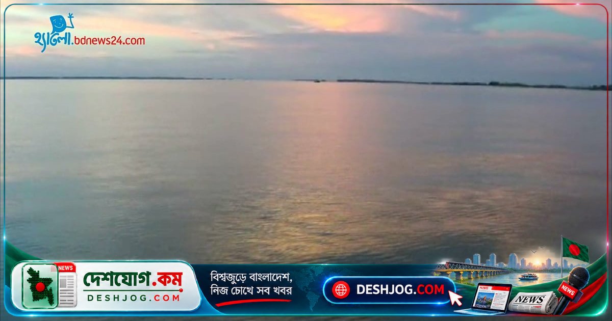 জলাভূমি হারিয়ে গেলে বন্যা, জীববৈচিত্র্য ও জীবিকা হুমকির মুখে পড়বে: বিশেষজ্ঞদের সতর্কবার্তা