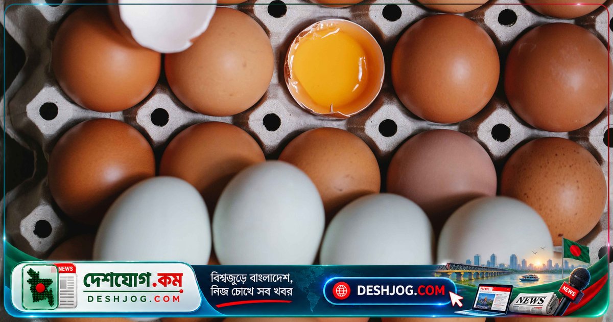 বাদামি বা সাদা ডিম — পুষ্টিগুণে কোনটা এগিয়ে? বিজ্ঞানীরা বলছেন সত্যি কি?