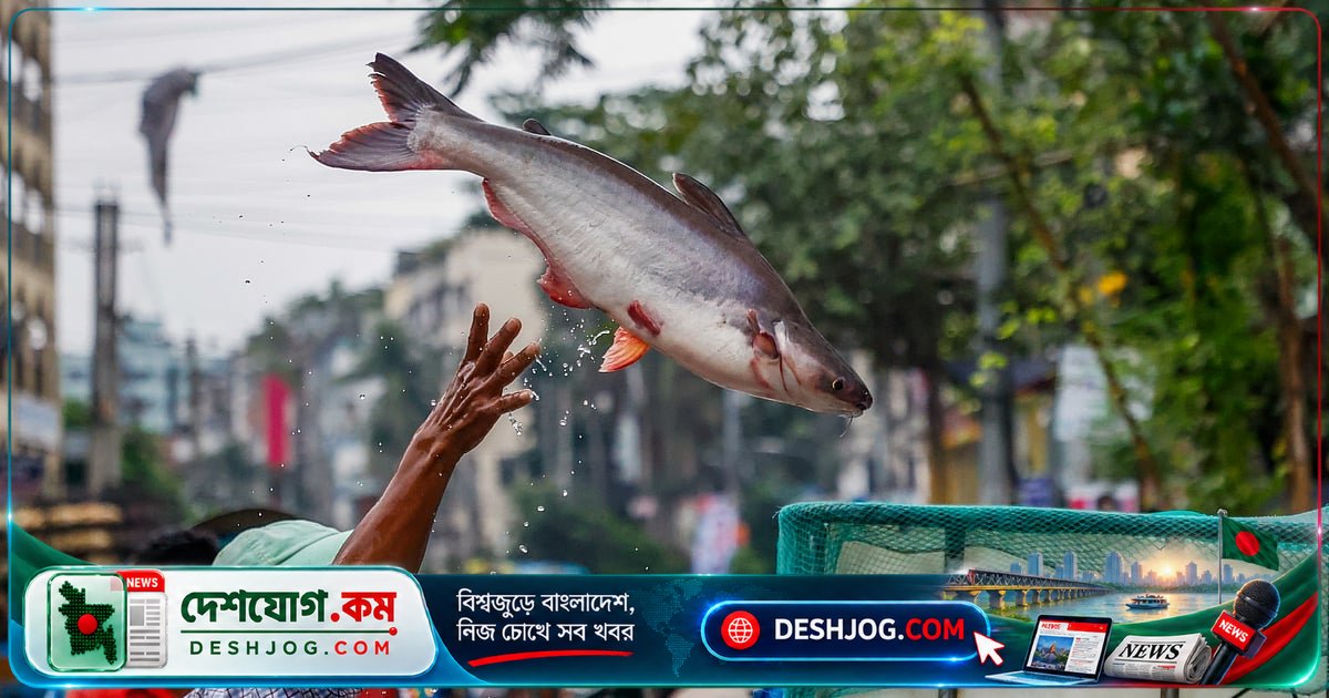 মিরপুরের পাইকারি বাজারে ভোরের আলোয় জীবন্ত মাছের বিশাল হাট