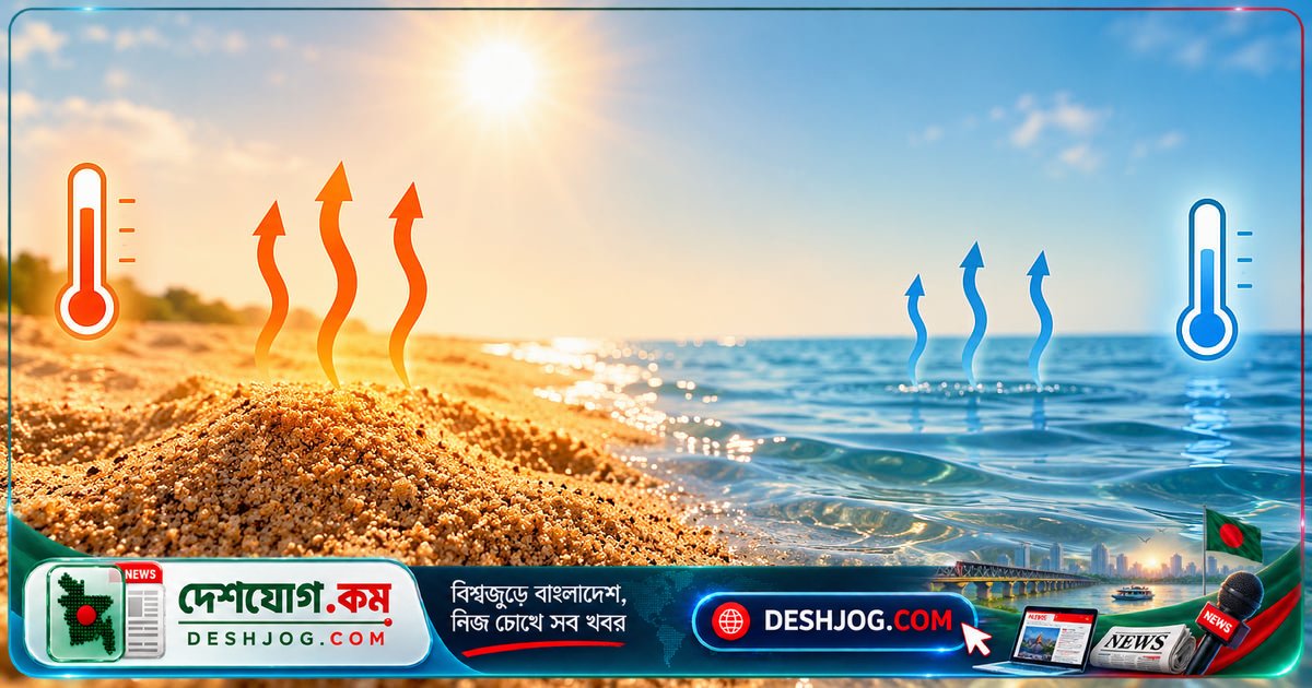 বালি ও পানির তাপমাত্রা নিয়ন্ত্রণে গোপন বিজ্ঞান: কেন একটিতে দ্রুত গরম হয় আর অনটিতে দেরি?