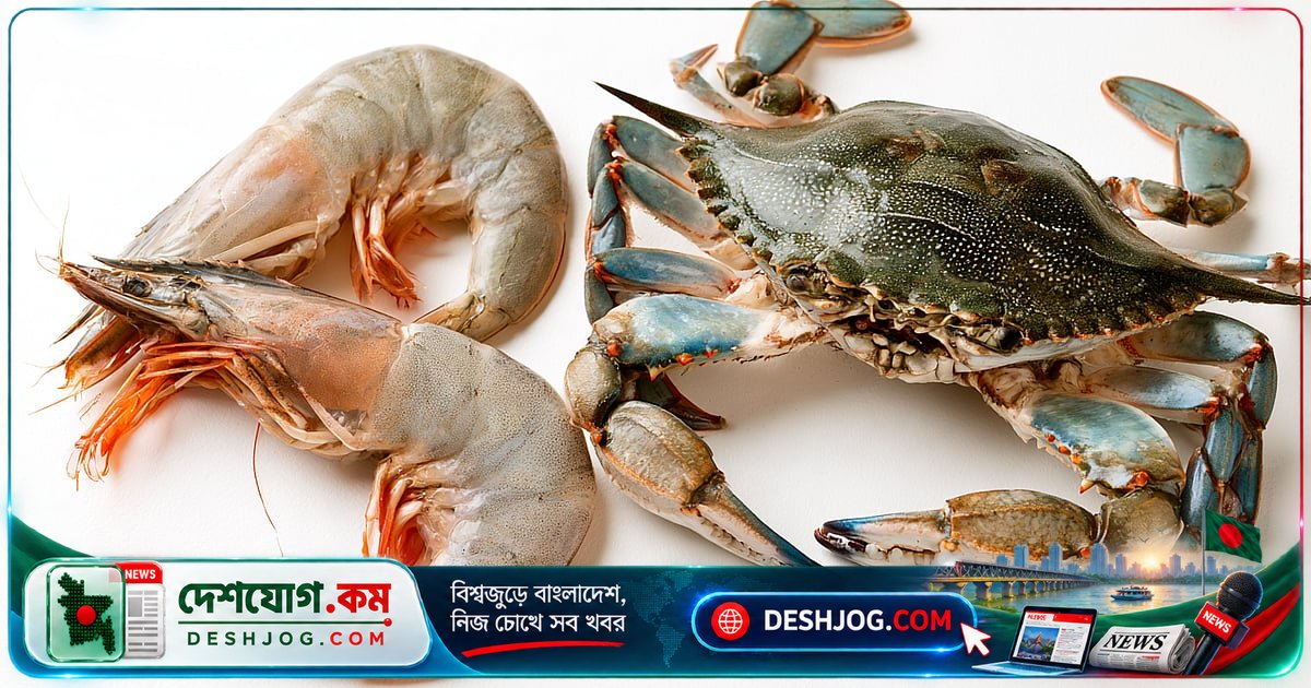 চিংড়ি মাছের নামে মাছ শব্দ কেন জড়িয়ে পড়ে, কাঁকড়ার নামে না? বিজ্ঞান ও ভাষার গোপন কাহিনি