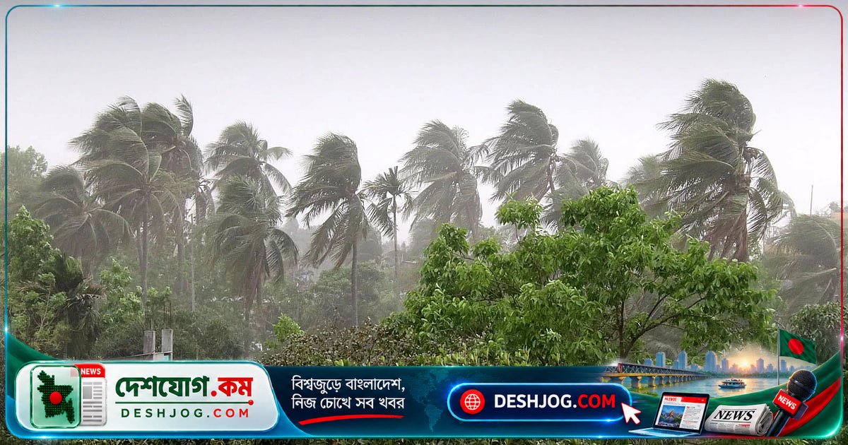কেন ঝড়ের নিরাপদ দূর থেকে দেখলে মনে হয় অসম্ভব ভালো লাগে? কোজি প্যারাডক্সের গোপনীয়তা