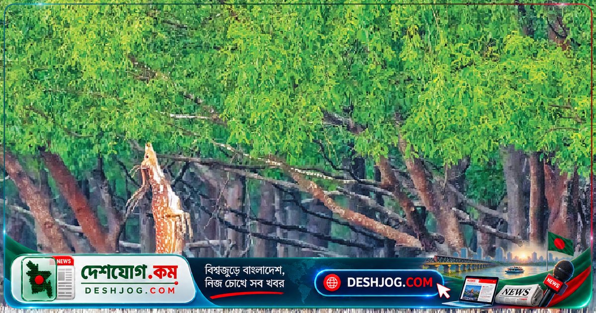 বাংলাদেশে বন্য প্রাণী সংরক্ষণে নতুন মাইলফলক: কমিশনের লক্ষ্য ও ভূমিকা কী?