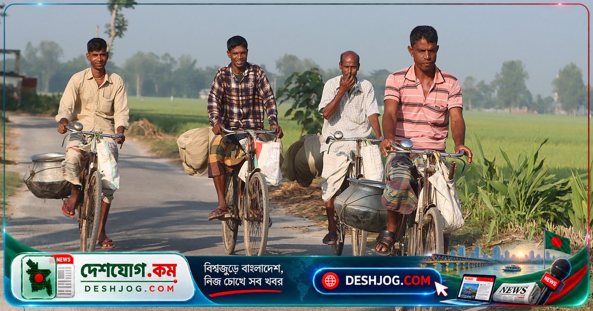 হেমন্তের রোদে সাদা শাপলা ফুটে, মাছ ধরতে যাচ্ছেন জেলেরা: বাংলাদেশের দৈনন্দিন জীবনের ছবি