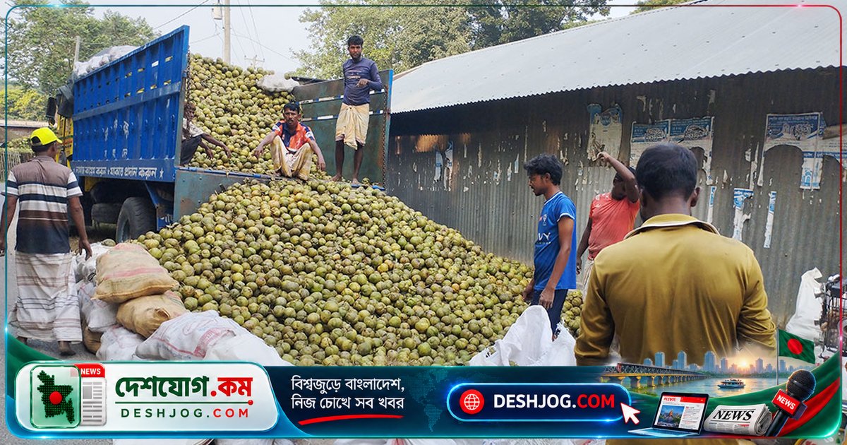 পাবনার শ্রমিকেরা চালতা নিয়ে আচার কারখানায় বস্তাবন্দী: রামচন্দ্রপুরের দিনের ছবি