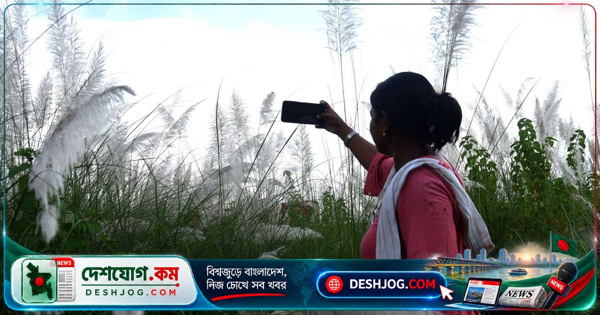 'ছোট এআই' দিয়ে উন্নয়নশীল দেশগুলোর অর্থনৈতিক রূপান্তর সম্ভব: বিশ্বব্যাংকের নতুন দাবি
