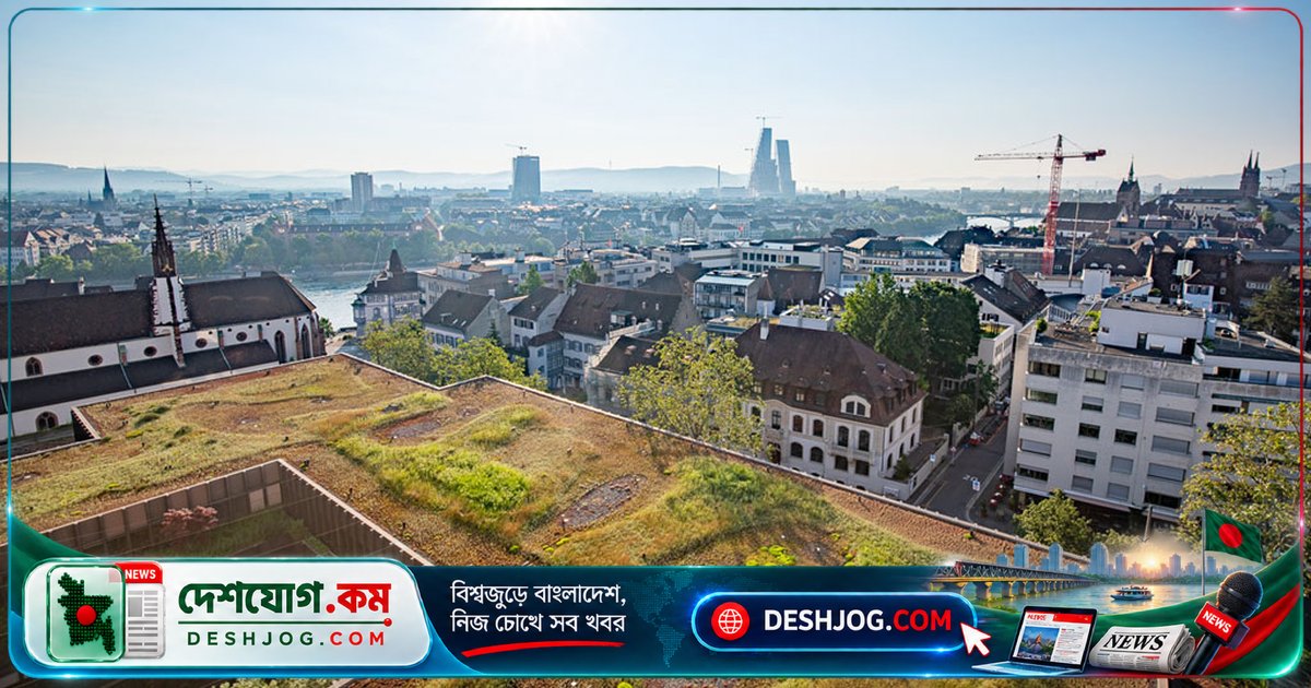 বিশ্বের শীর্ষ শহরগুলো কীভাবে ছাদের ওপর সবুজ বিপ্লব ঘটাচ্ছে?