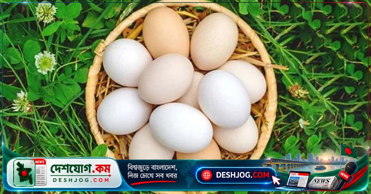 অক্টোবর মাসের দ্বিতীয় শুক্রবার: বিশ্ব ডিম দিবসের ৩০ বছর পূর্তিতে প্রোটিনের গুরুত্ব তুলে ধরা