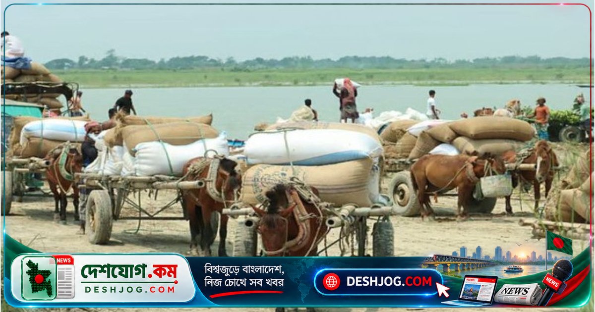 যমুনার চরে আধুনিকতার বাইরে জীবন-জীবিকা চালায় ঘোড়ার গাড়ি: সিরাজগঞ্জের অদ্ভুত ঐতিহ্য