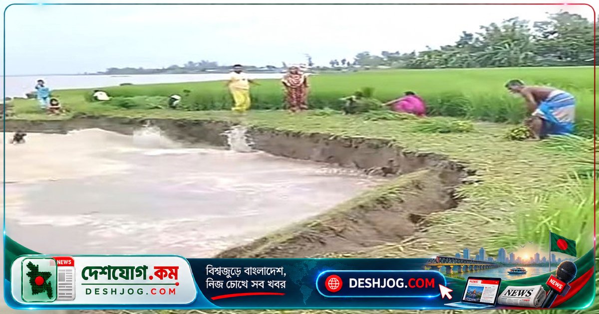যমুনার ভাঙ্গনে সিরাজগঞ্জের কাজীপুরে হারায় অর্ধশত বিঘা জমি, নদী সংরক্ষণে সরকারি অকর্মণ্যতা